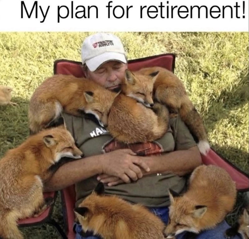 My plan for retirement! TRACTOR SUPPLY HA