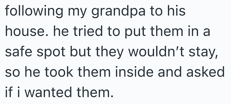 following my grandpa to his house. he tried to put them in a safe spot but they wouldn't stay, so he took them inside and asked if i wanted them.