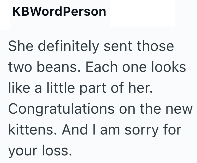 KBWordPerson She definitely sent those two beans. Each one looks like a little part of her. Congratulations on the new kittens. And I am sorry for your loss.
