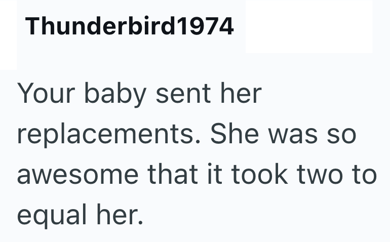 Thunderbird 1974 Your baby sent her replacements. She was so awesome that it took two to equal her.