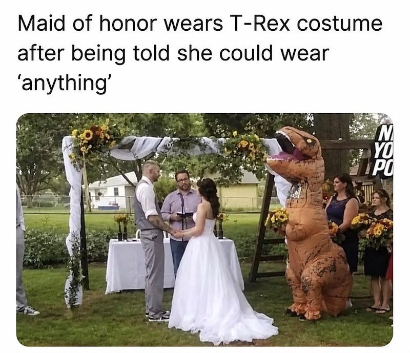 Maid of honor wears T-Rex costume after being told she could wear 'anything' N YO PO 化