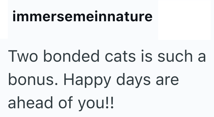 immersemeinnature Two bonded cats is such a bonus. Happy days are ahead of you!!