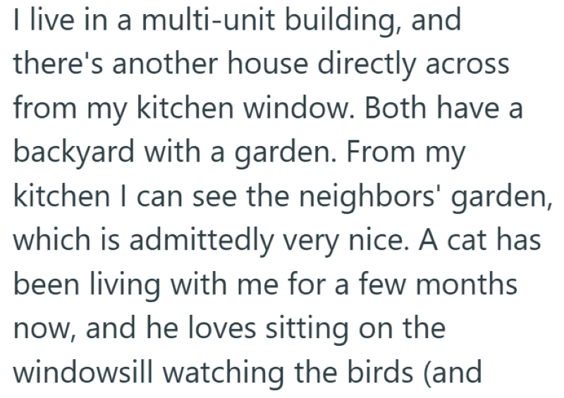I live in a multi-unit building, and there's another house directly across from my kitchen window. Both have a backyard with a garden. From my kitchen I can see the neighbors' garden, which is admittedly very nice. A cat has been living with me for a few months now, and he loves sitting on the windowsill watching the birds (and