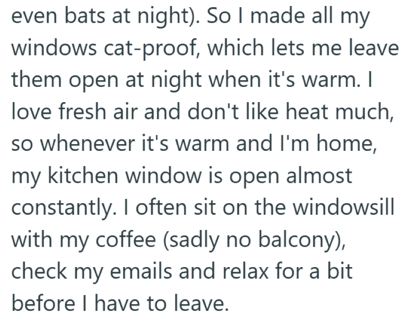 even bats at night). So I made all my windows cat-proof, which lets me leave them open at night when it's warm. I love fresh air and don't like heat much, so whenever it's warm and I'm home, my kitchen window is open almost constantly. I often sit on the windowsill with my coffee (sadly no balcony), check my emails and relax for a bit before I have to leave.