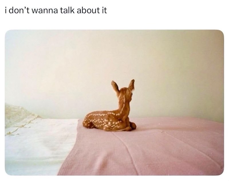 i don't wanna talk about it