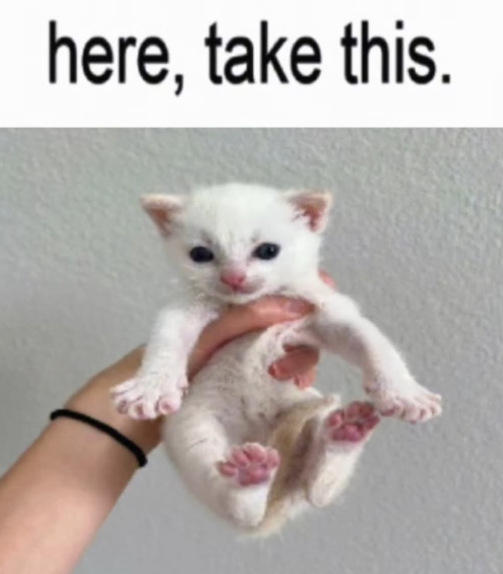 here, take this.