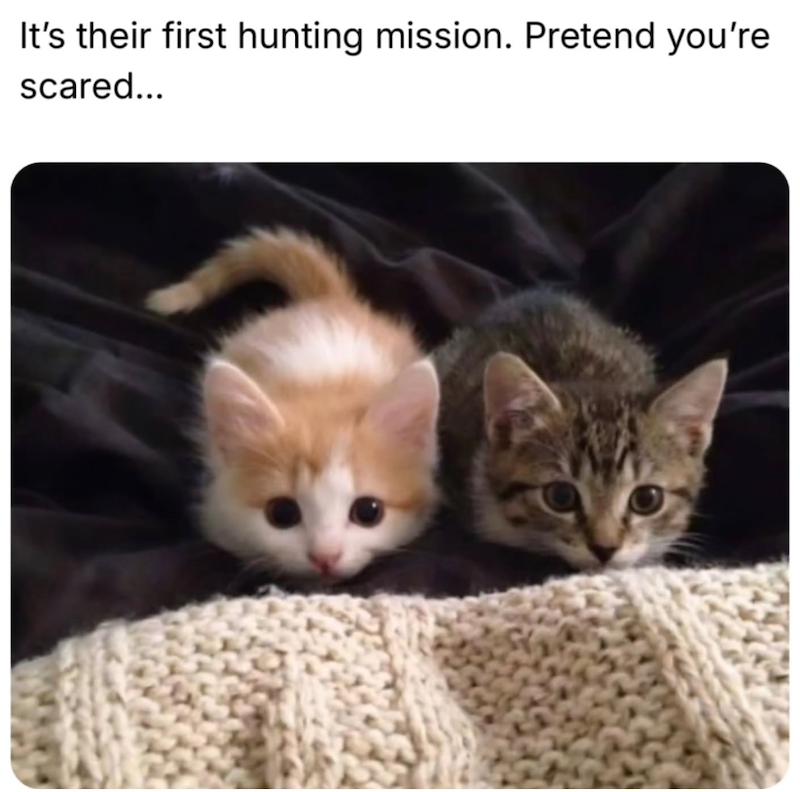 It's their first hunting mission. Pretend you're scared...