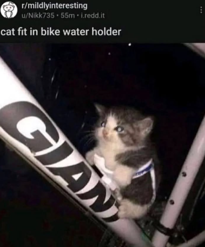 r/mildlyinteresting u/Nikk735.55m.i.redd.it cat fit in bike water holder GIAN