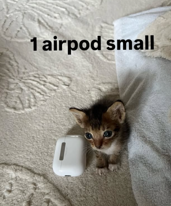 1 airpod small