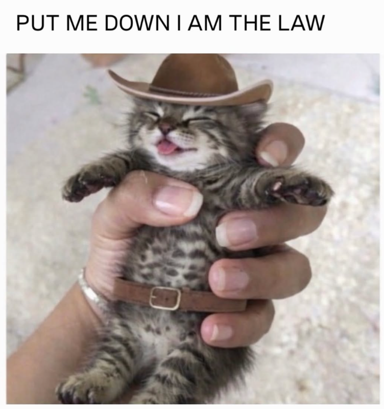 PUT ME DOWN I AM THE LAW 0