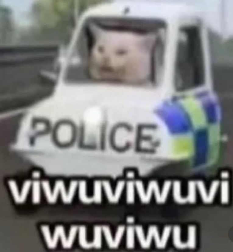 POLICE viwuviwuvi wuviwu