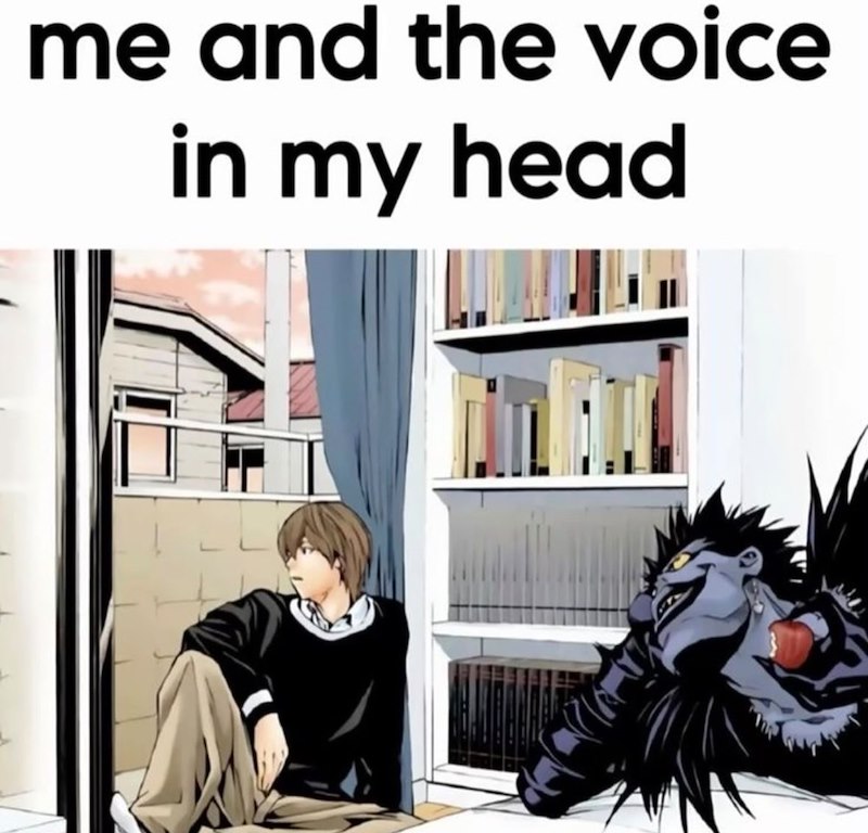 me and the voice in my head