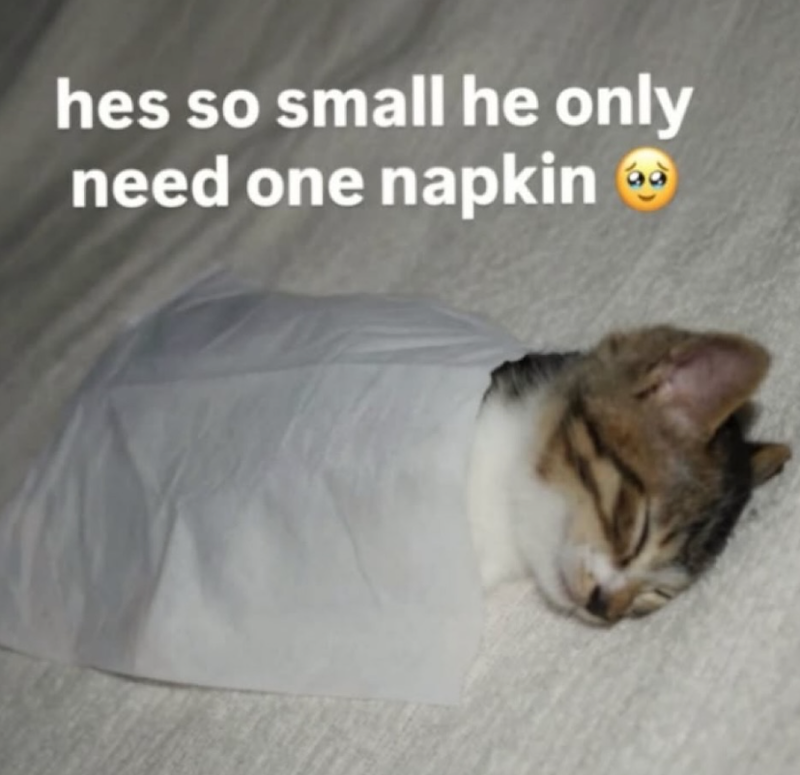 hes so small he only need one napkin