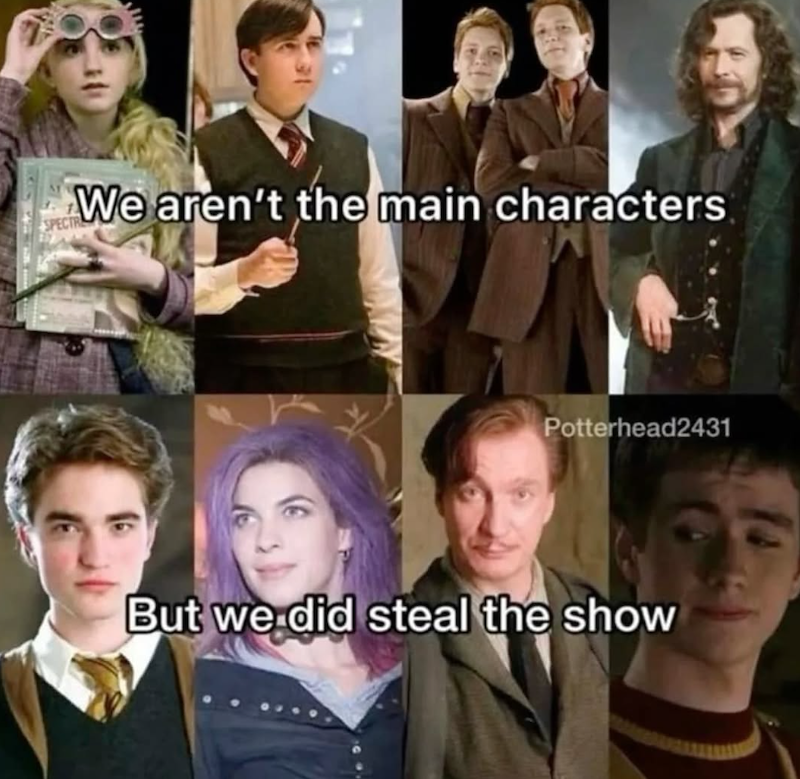 SPECTR We aren't the main characters Potterhead2431 But we did steal the show