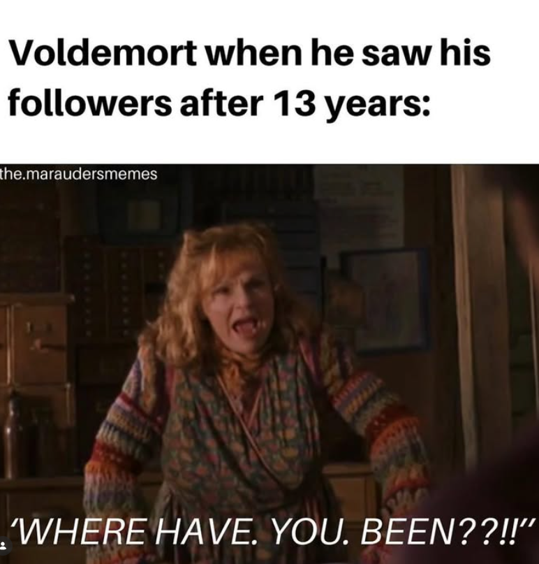 Voldemort when he saw his followers after 13 years: the.maraudersmemes WHERE HAVE. YOU. BEEN??!!"