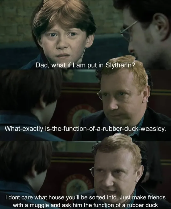 Dad, what if I am put in Slytherin? What-exactly is-the-function-of-a-rubber-duck-weasley. I dont care what house you'll be sorted into. Just make friends with a muggle and ask him the function of a rubber duck