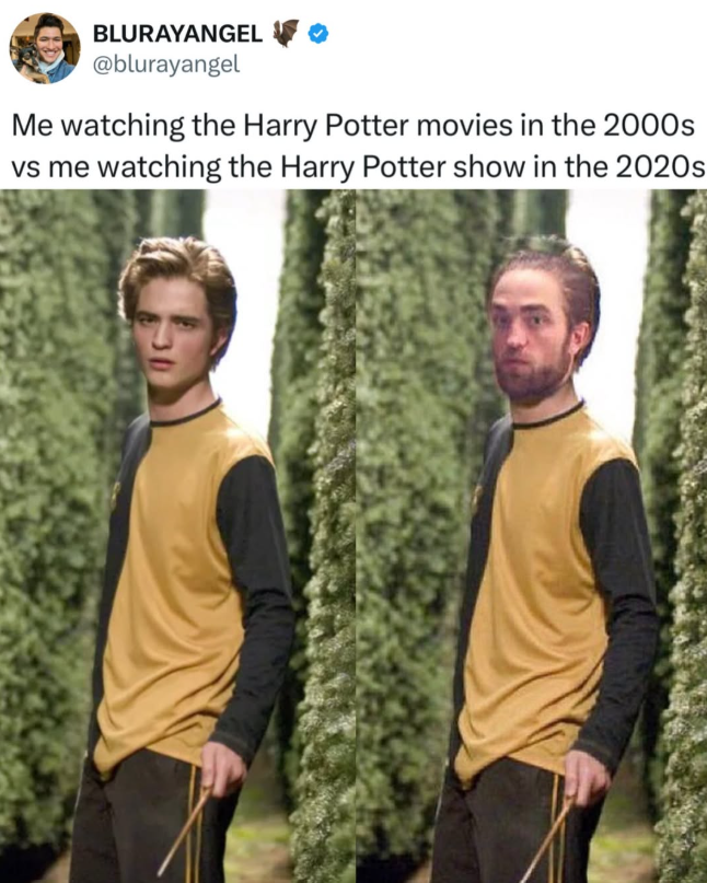 BLURAYANGEL @blurayangel Me watching the Harry Potter movies in the 2000s vs me watching the Harry Potter show in the 2020s