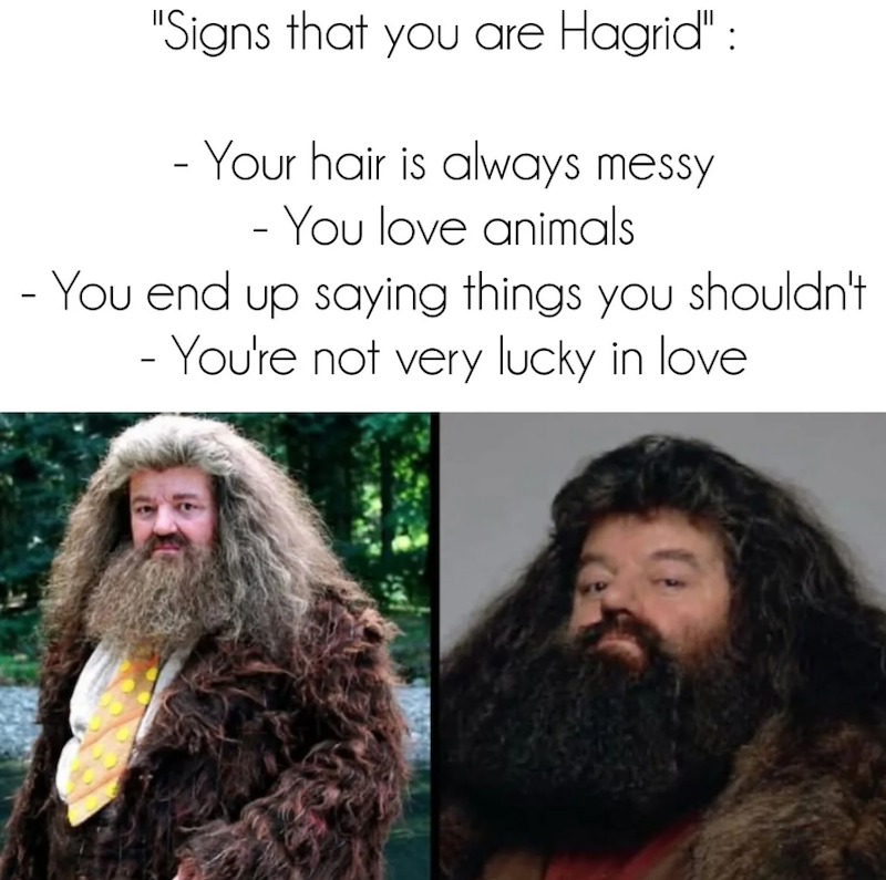 "Signs that you are Hagrid": -Your hair is always messy - You love animals - You end up saying things you shouldn't - You're not very lucky in love