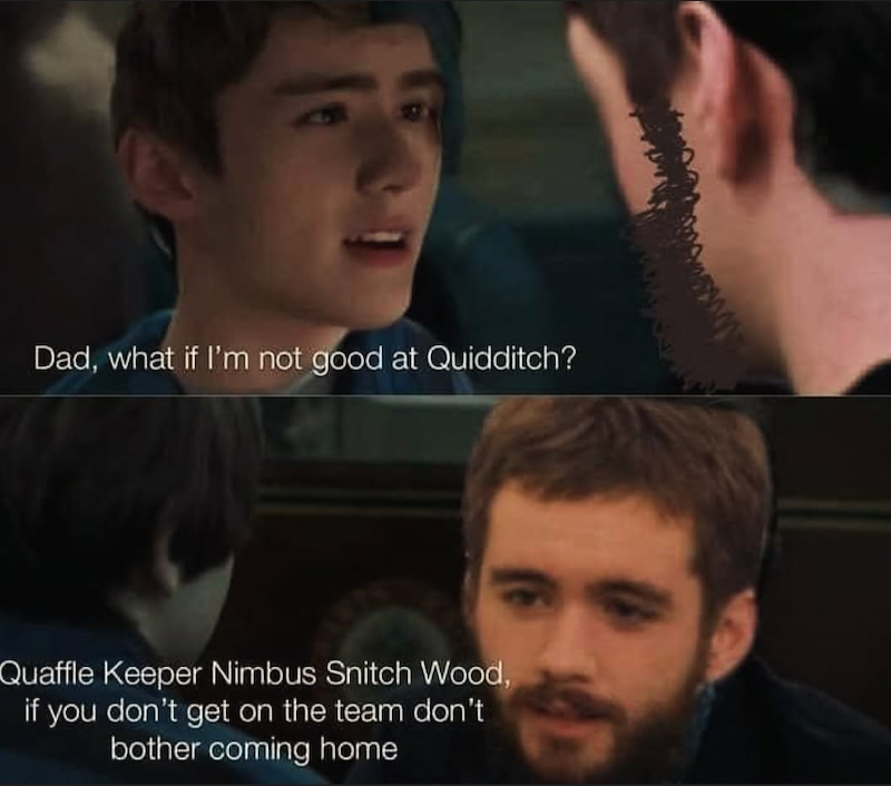 Dad, what if I'm not good at Quidditch? Quaffle Keeper Nimbus Snitch Wood, if you don't get on the team don't bother coming home