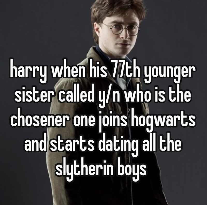 harry when his 77th younger sister called y/n who is the chosener one joins hogwarts and starts dating all the slytherin boys