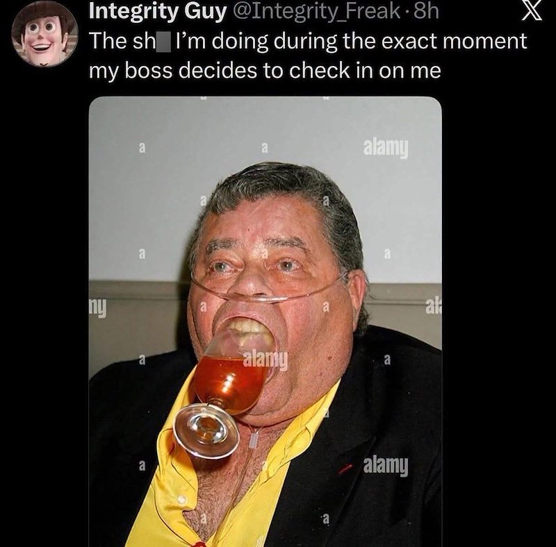 Integrity Guy @Integrity_Freak⚫8h The sh I'm doing during the exact moment my boss decides to check in on me a a alamy ny alamy al alamy
