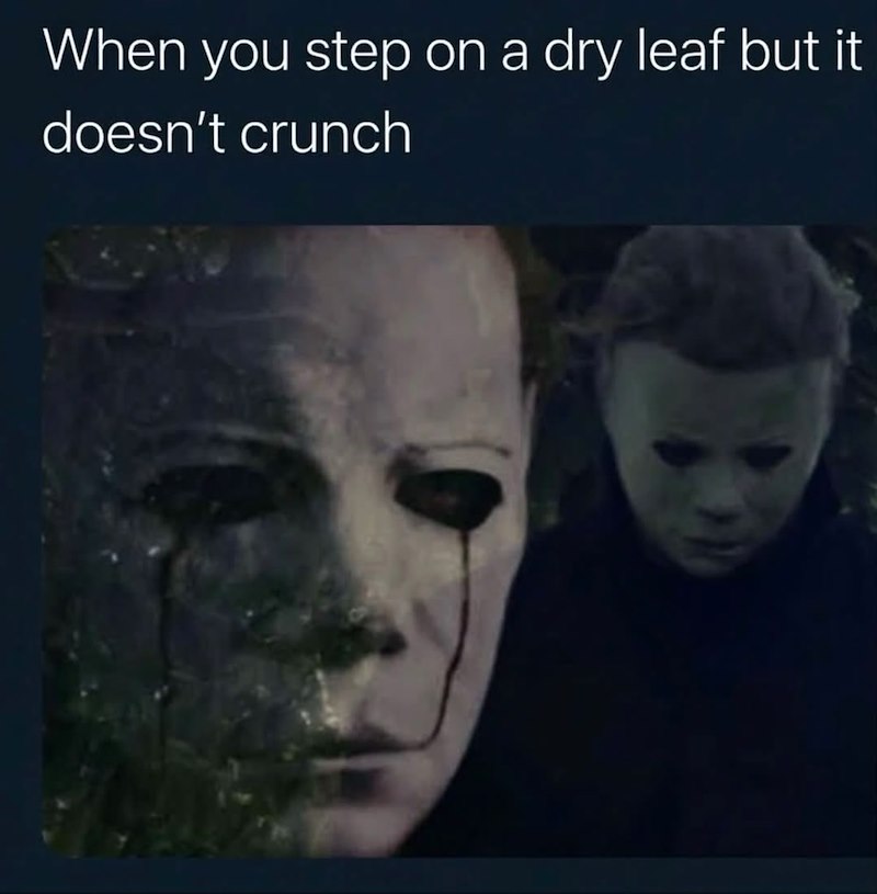 When you step on a dry leaf but it doesn't crunch