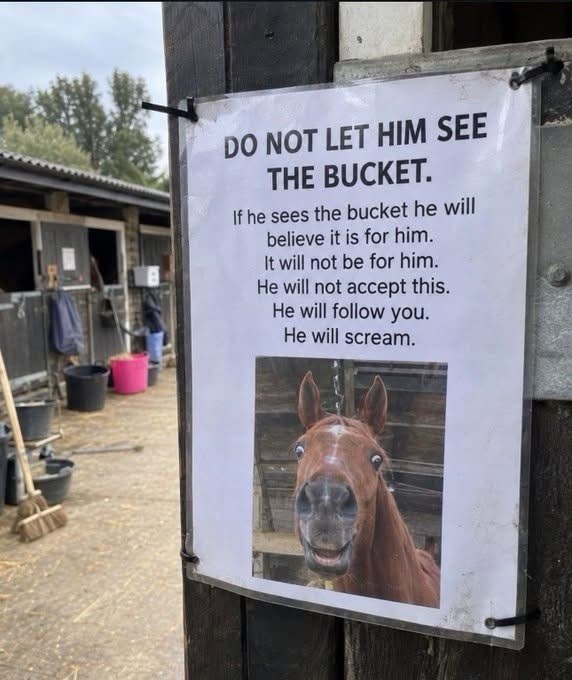 DO NOT LET HIM SEE THE BUCKET. If he sees the bucket he will believe it is for him. It will not be for him. He will not accept this. He will follow you. He will scream.