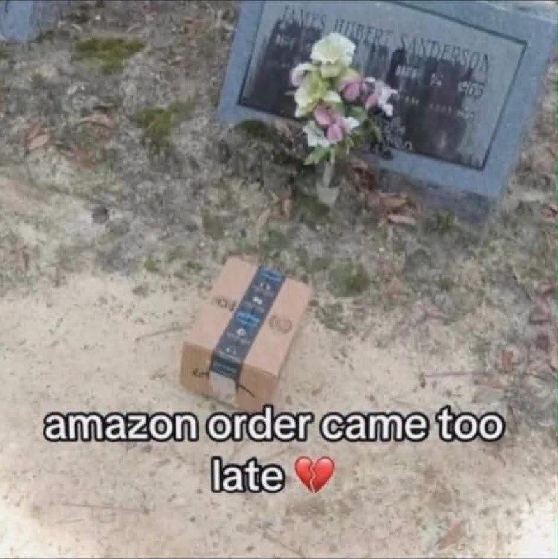 JAMES HILBERT SANDERSON 2 amazon order came too late