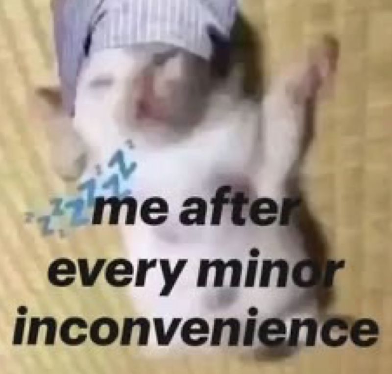 z me after every minor inconvenience
