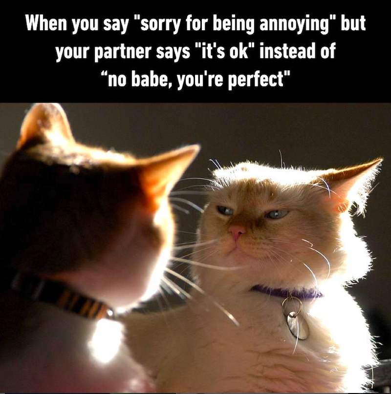 When you say "sorry for being annoying" but your partner says "it's ok" instead of "no babe, you're perfect"