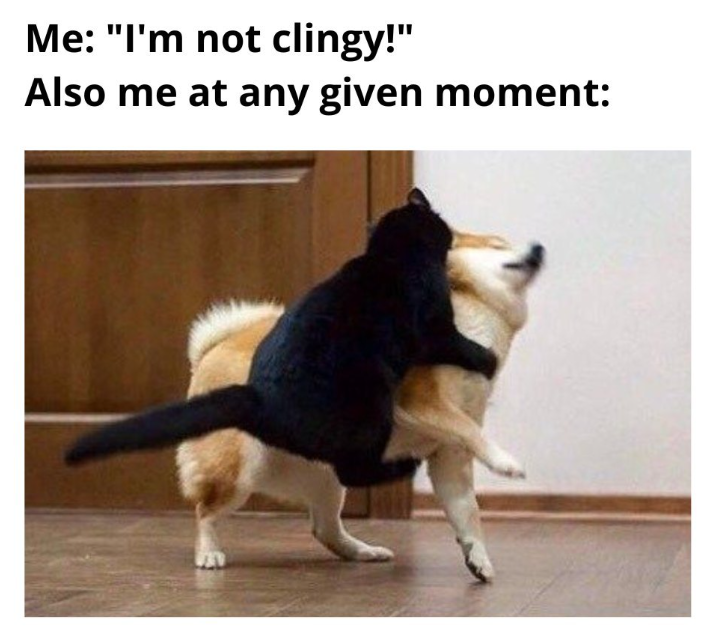 Me: "I'm not clingy!" Also me at any given moment: