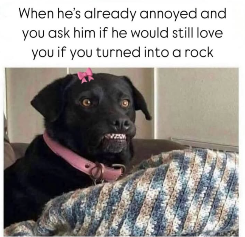 When he's already annoyed and you ask him if he would still love you if you turned into a rock