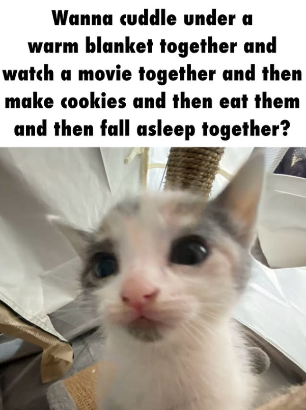 Wanna cuddle under a warm blanket together and watch a movie together and then make cookies and then eat them and then fall asleep together? wholesome.beanca
