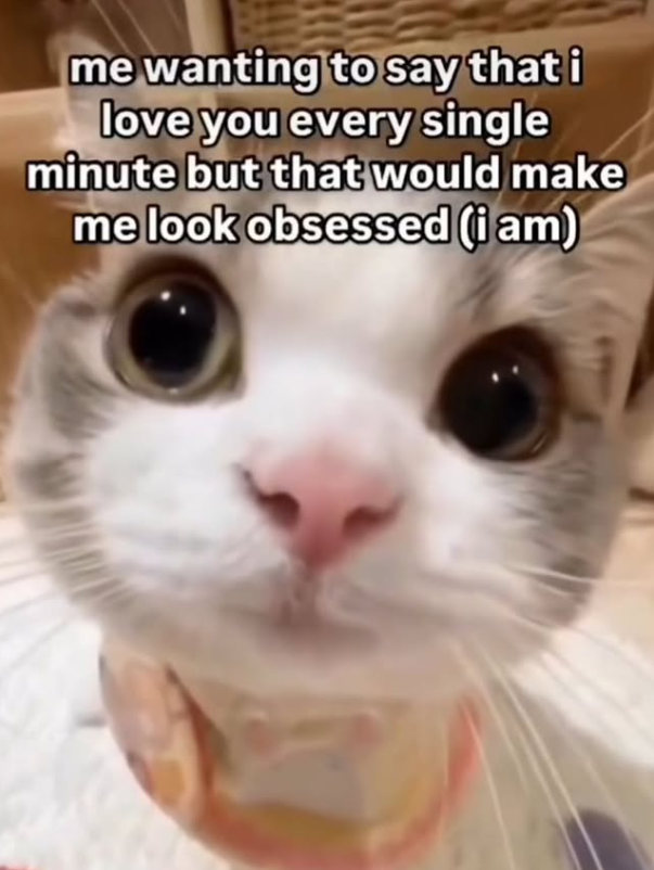 me wanting to say that i love you every single minute but that would make me look obsessed (i am)