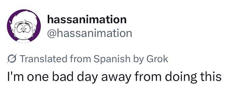 hassanimation @hassanimation Translated from Spanish by Grok I'm one bad day away from doing this