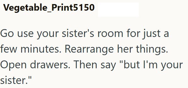 Vegetable_Print5150 Go use your sister's room for just a few minutes. Rearrange her things. Open drawers. Then say "but I'm your sister."