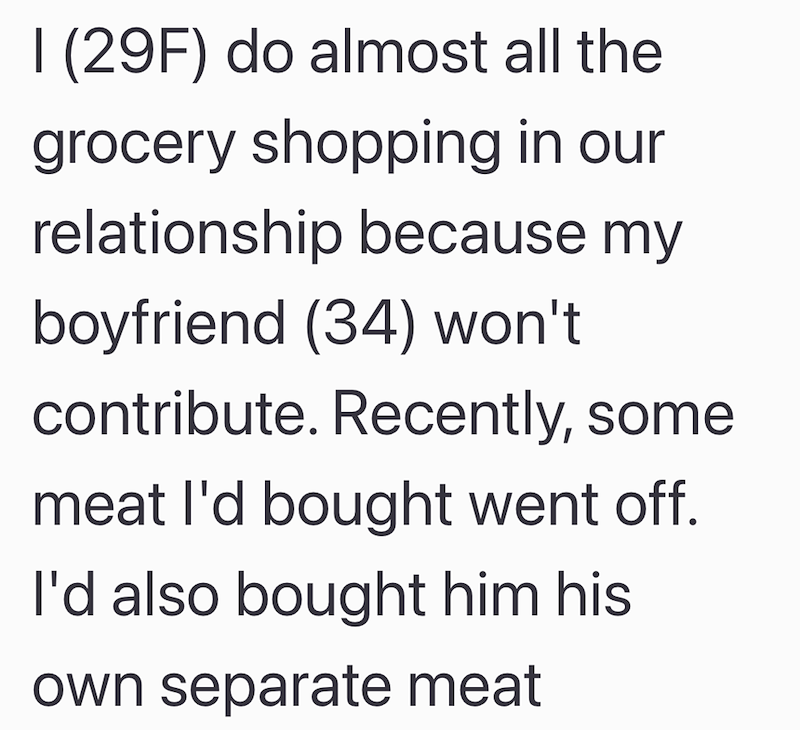 I (29F) do almost all the grocery shopping in our relationship because my boyfriend (34) won't contribute. Recently, some meat I'd bought went off. I'd also bought him his own separate meat