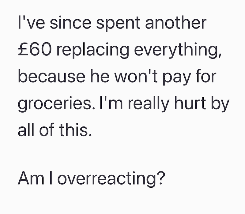 I've since spent another £60 replacing everything, because he won't pay for groceries. I'm really hurt by all of this. Am I overreacting?