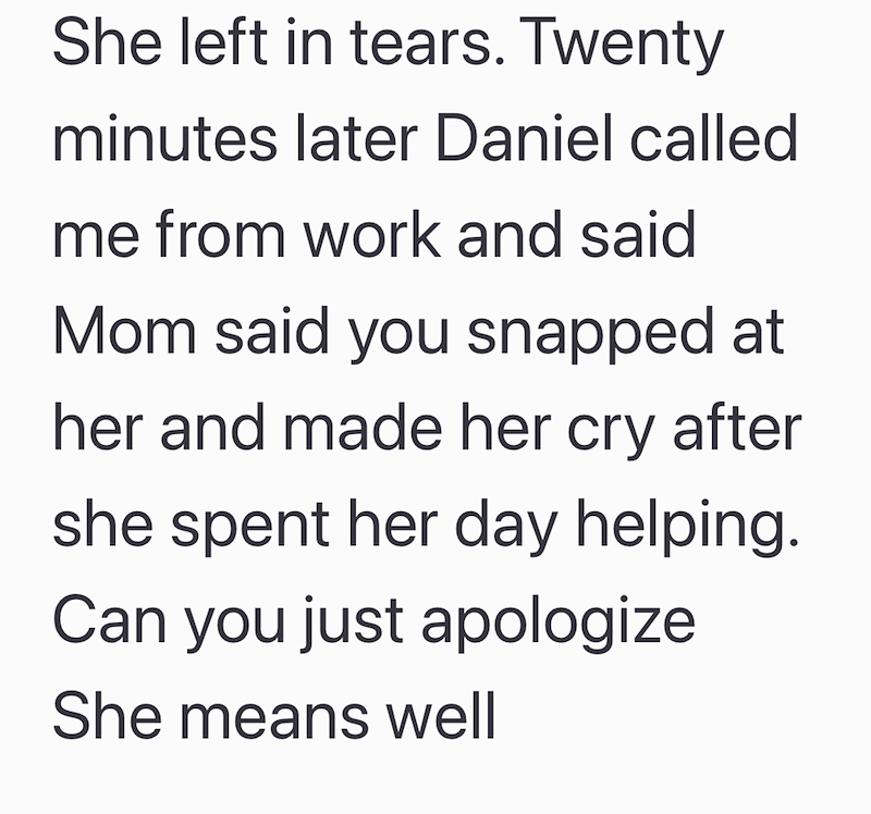 She left in tears. Twenty minutes later Daniel called me from work and said Mom said you snapped at her and made her cry after she spent her day helping. Can you just apologize She means well