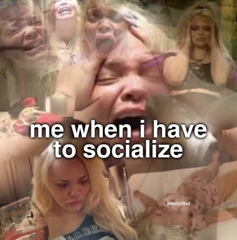 *me when i have to socialize naurpilled BADELL