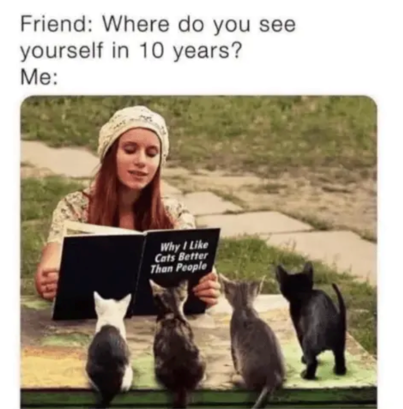 Friend: Where do you see yourself in 10 years? Me: Why I Like Cats Better Than People