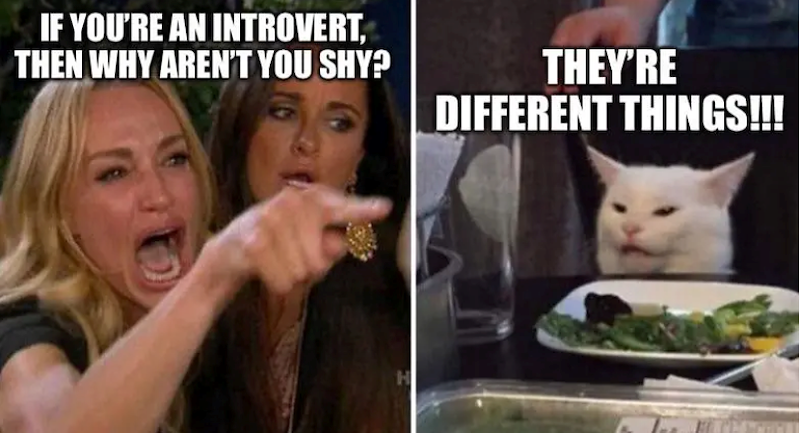 IF YOU'RE AN INTROVERT, THEN WHY AREN'T YOU SHY? THEY'RE DIFFERENT THINGS!!! H