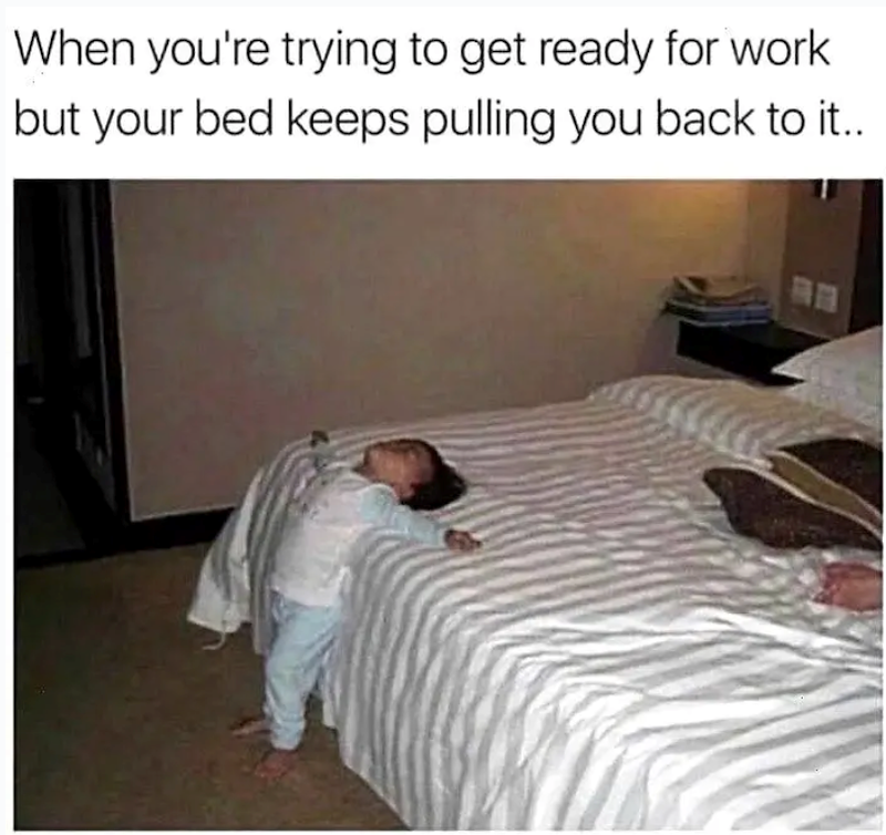 When you're trying to get ready for work but your bed keeps pulling you back to it..