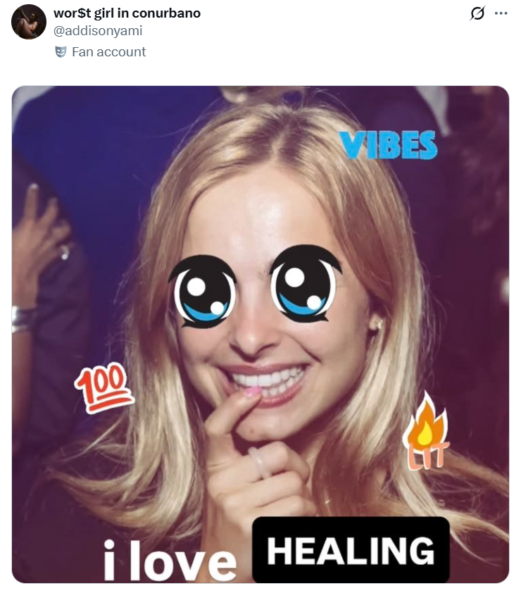 wor$t girl in conurbano @addisonyami Fan account 100 VIBES i love HEALING ...