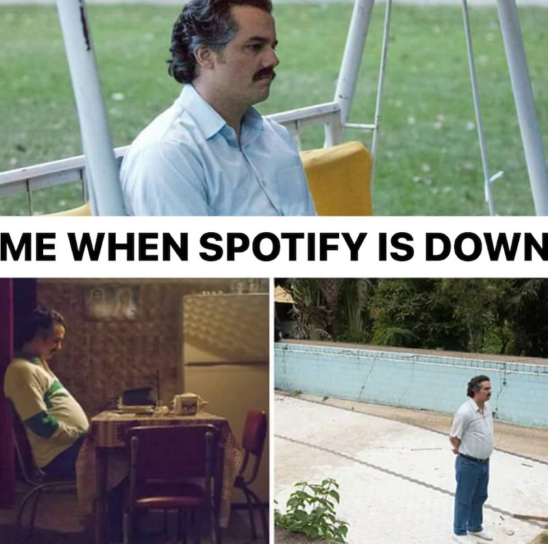 ME WHEN SPOTIFY IS DOWN