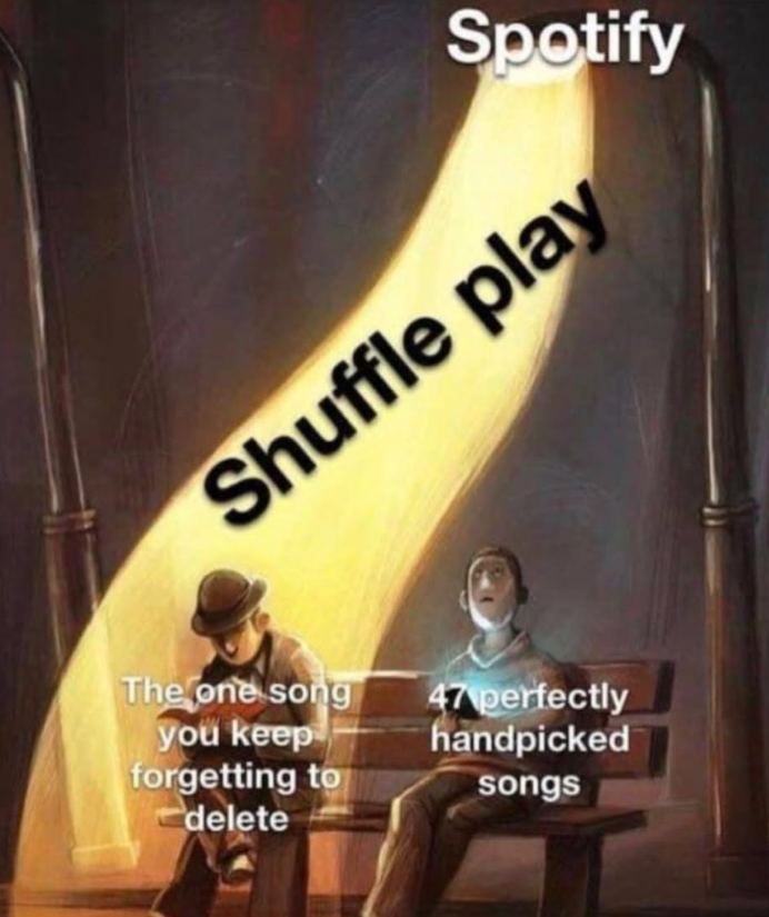 Spotify Shuffle play The one song you keep forgetting to delete 47 perfectly handpicked songs