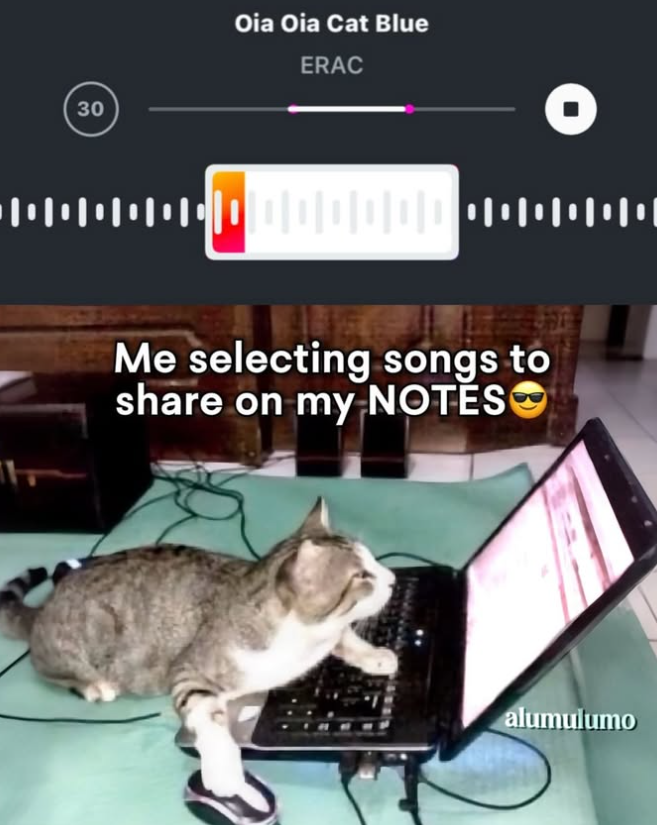 30 Oia Oia Cat Blue ERAC Me selecting songs to share on my NOTES alumulumo