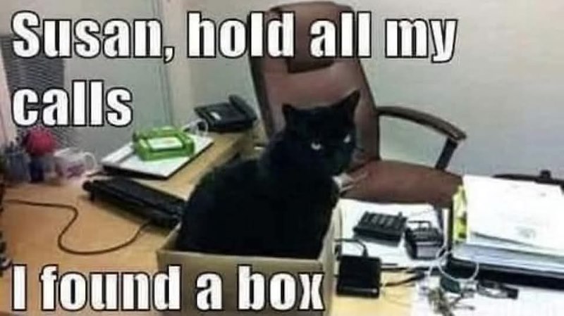 Susan, hold all my calls I found a box