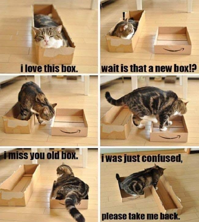 i love this box. wait is that a new box!? i miss you old box. i was just confused, please take me back.