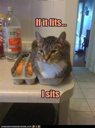 G 104 If it fits.. ICANHASCHEEZBURGER.COM Isits